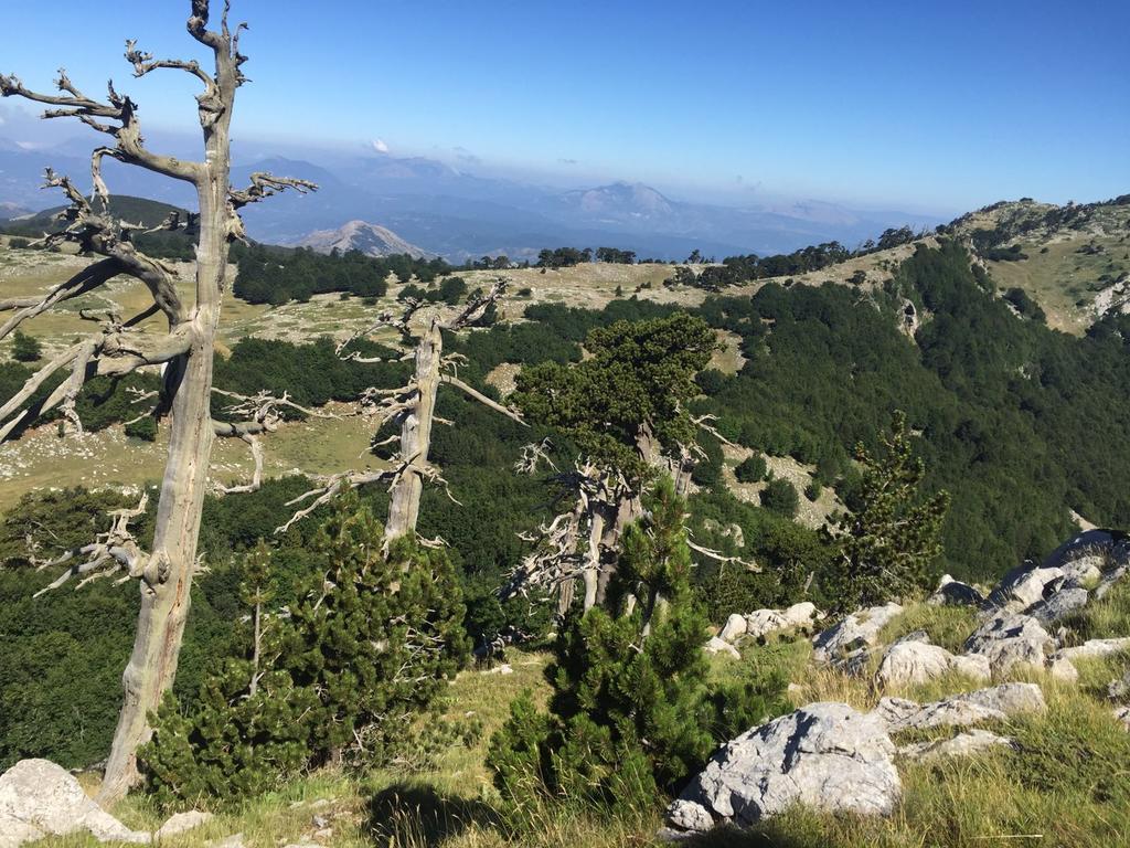 La Stella Del Pollino San Lorenzo Bellizzi Exterior foto